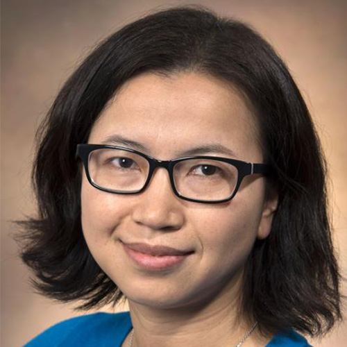 Headshot of Brookhaven researcher Meifeng Lin. She smiles and wears glasses. She has on a blue blouse. She stands against a brown backdrop.